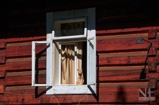 Katze im Fenster eines Zakopane-Style-Holzhauses (Zakopane, Polen)